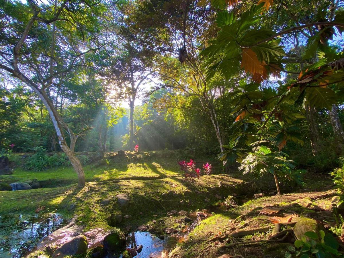 Buena Onda Jungle Lodgeオホチャル エクステリア 写真