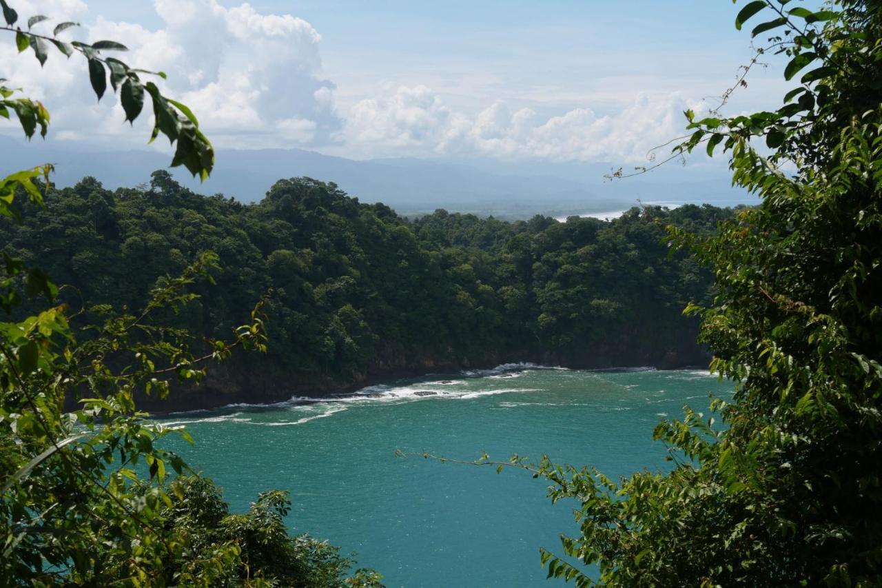 Buena Onda Jungle Lodgeオホチャル エクステリア 写真