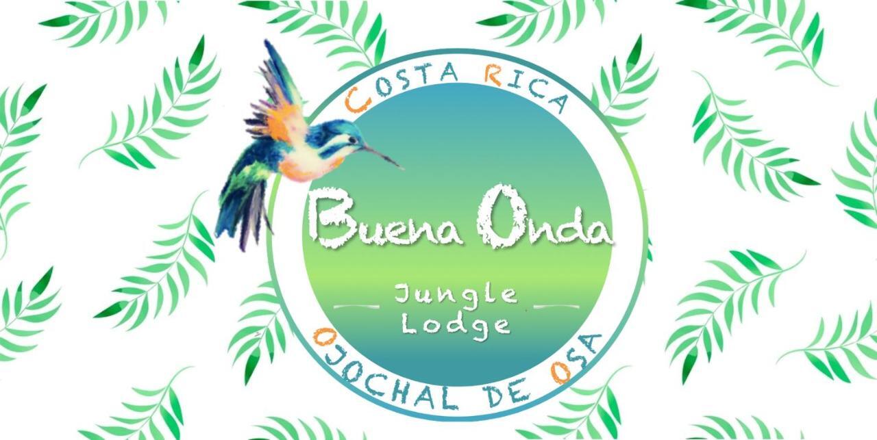 Buena Onda Jungle Lodgeオホチャル エクステリア 写真