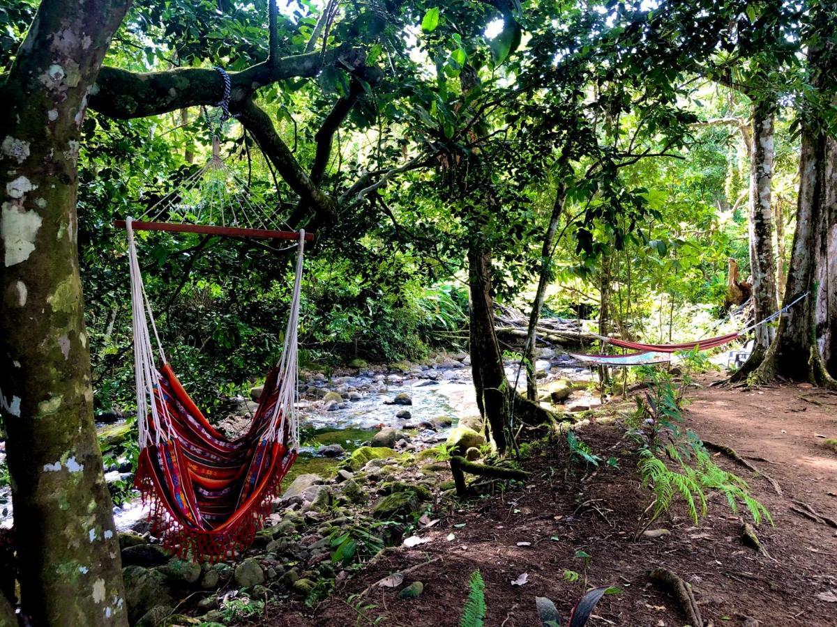 Buena Onda Jungle Lodgeオホチャル エクステリア 写真